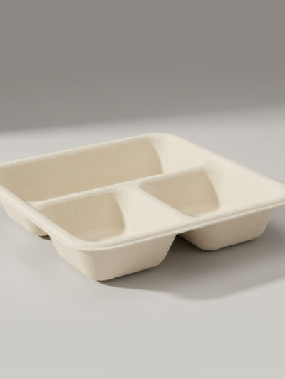 Bagasse Schale dreigeteilt 500/200/200 mL