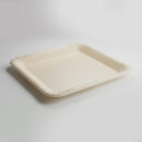Bagasse Schale quadratisch