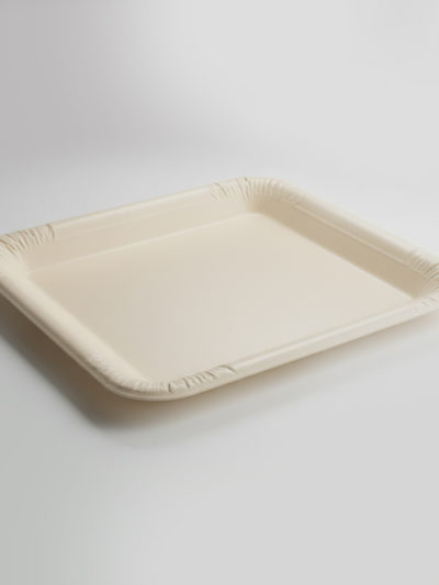 Bagasse Schale quadratisch