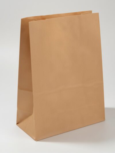 Carry-Bag Braun Kraft Natürlich