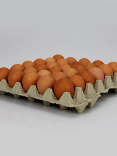 Eier Klasse L  (180 Stk)