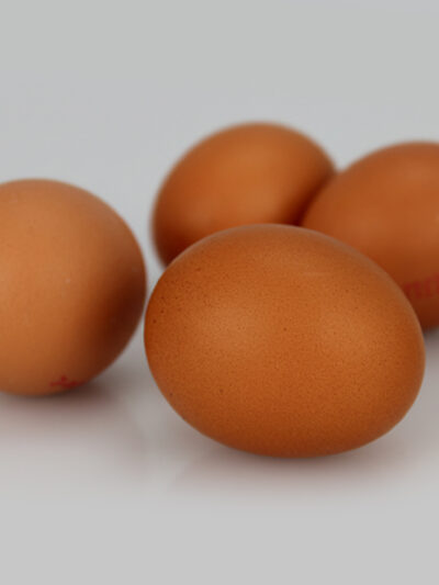 Eier Klasse M  (10 Stk)