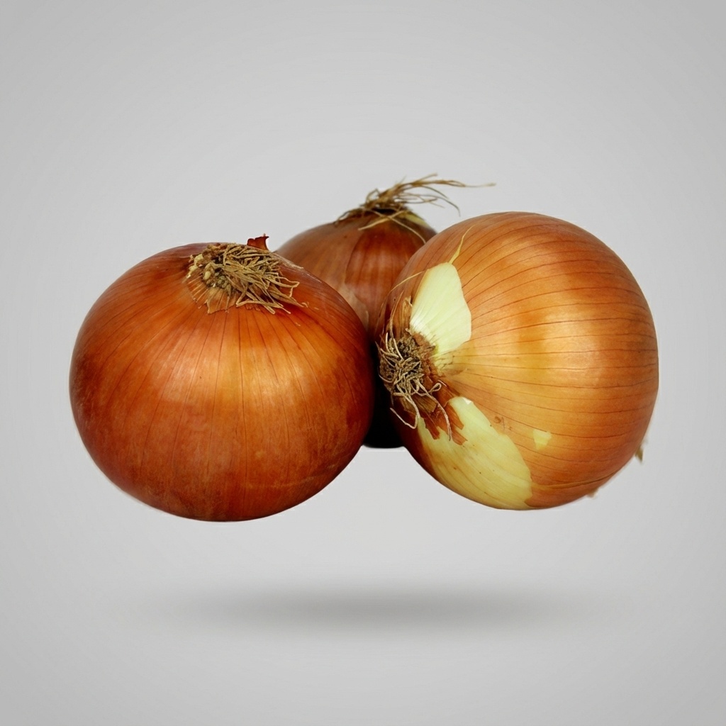 Gemüse Zwiebeln aus Spanien