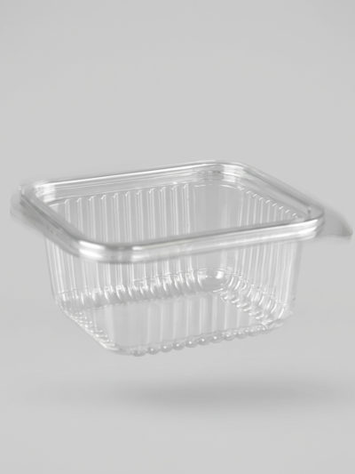 Salatbox groß