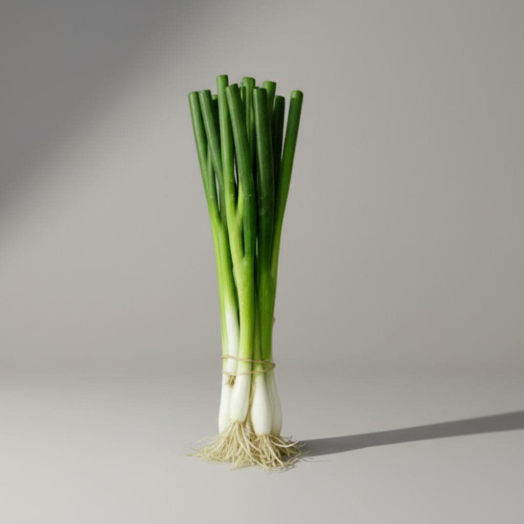 Schluppen, je Bund