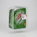 Isola Fresco, Gorgonzola Galbani 48 %