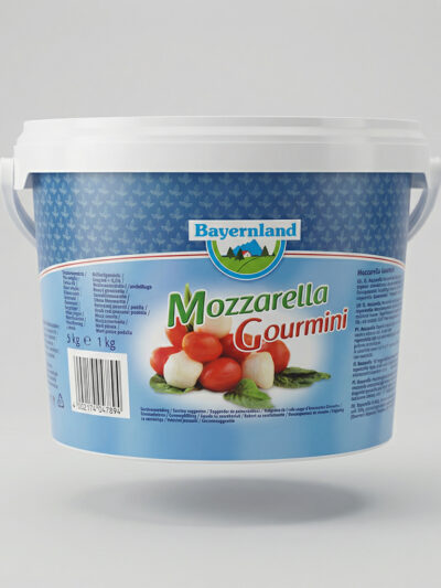 Mozzarella Gourmini, 45%