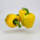 Paprika gelb