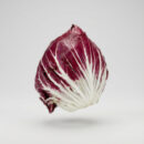 Radicchio